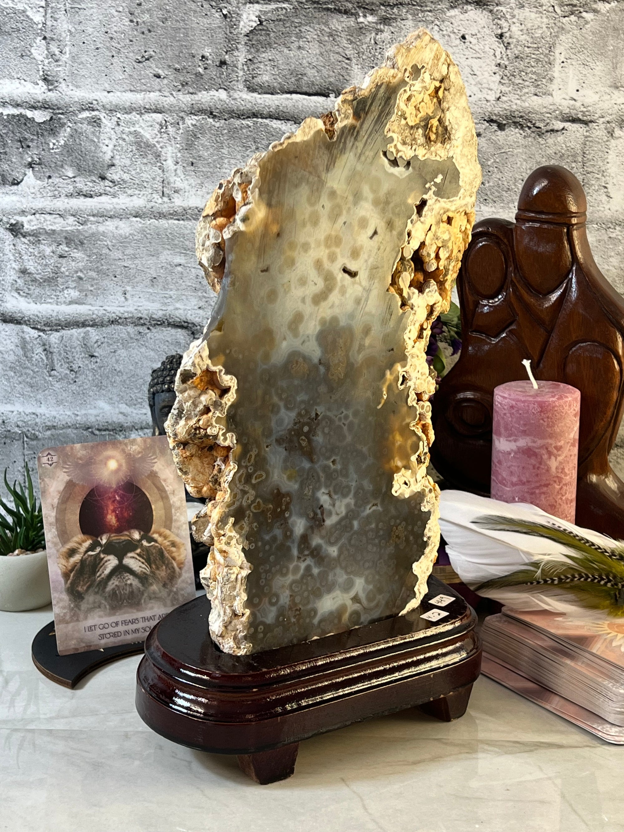 Huge 4.2 kg Orbicular Ocean Jasper Statement Piece