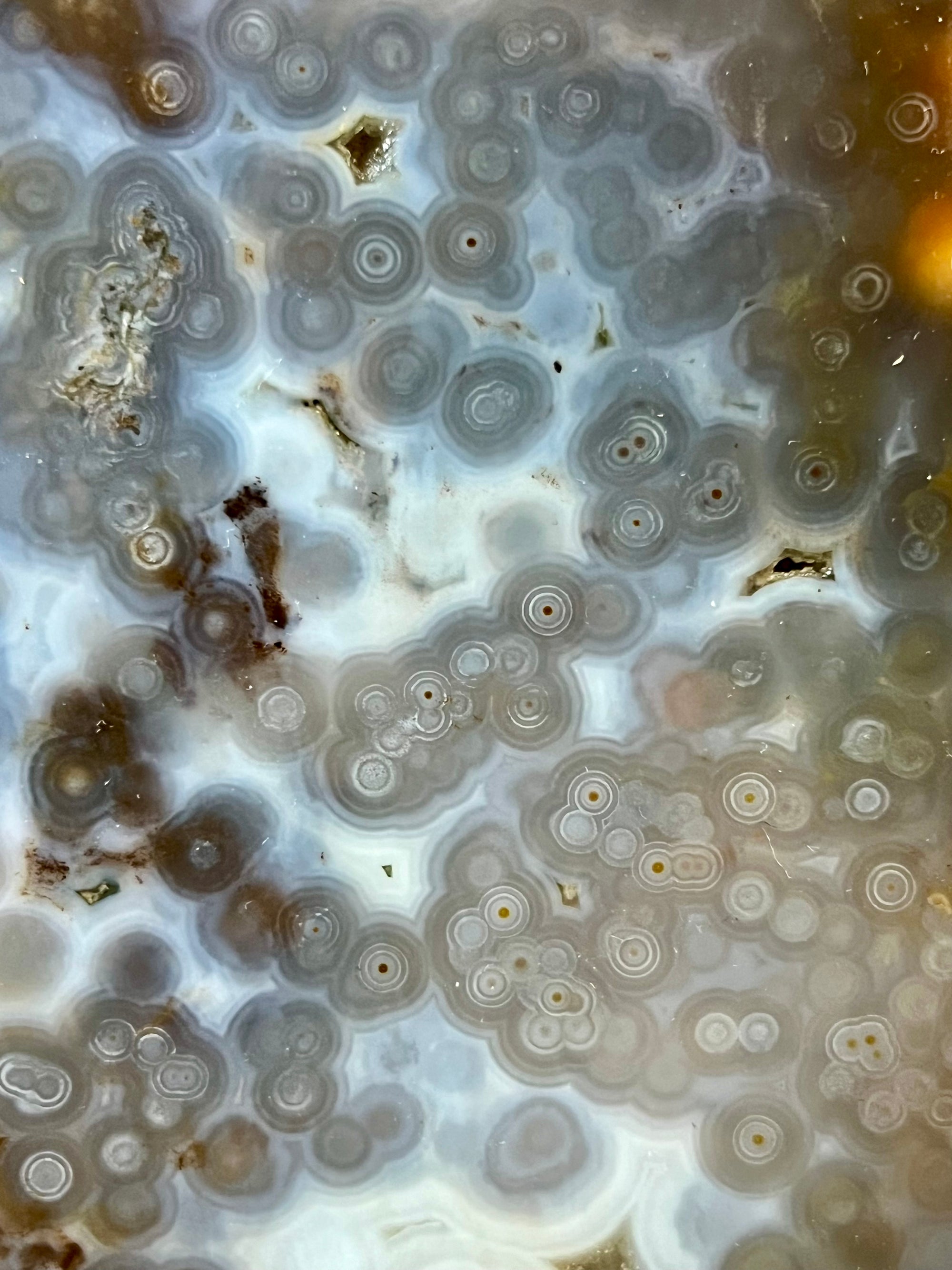 Huge 4.2 kg Orbicular Ocean Jasper Statement Piece