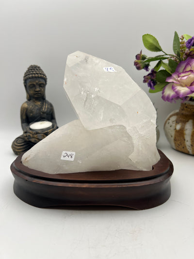 Gorgeous Brazilian Lemurian with Wood Base