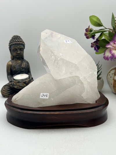 Gorgeous Brazilian Lemurian with Wood Base