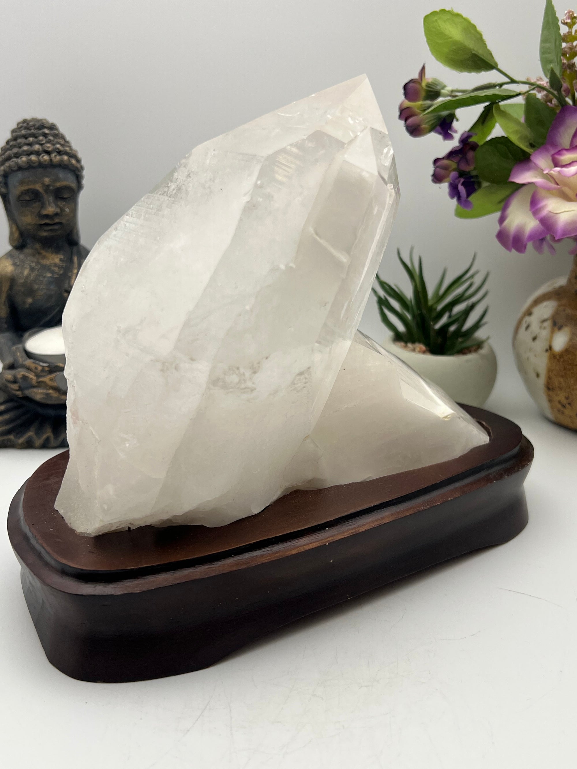 Gorgeous Brazilian Lemurian with Wood Base