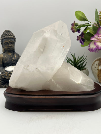 Gorgeous Brazilian Lemurian with Wood Base