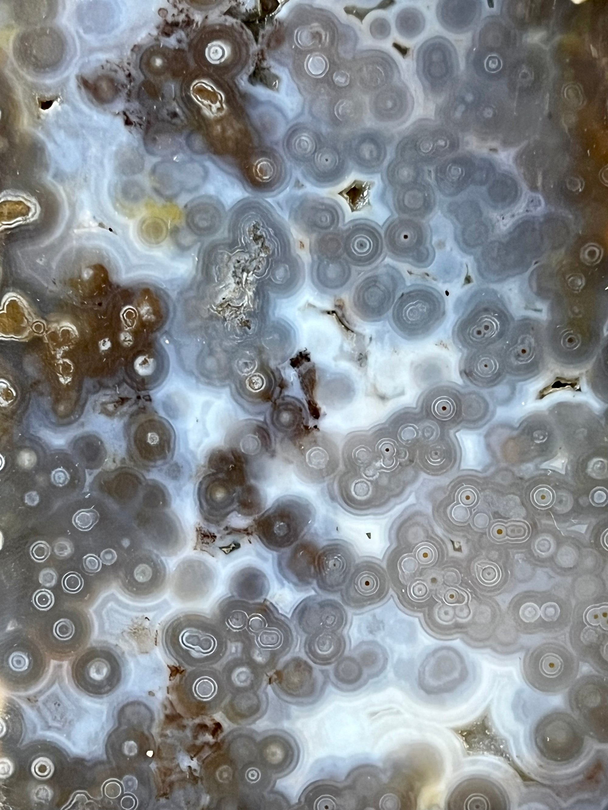 Huge 4.2 kg Orbicular Ocean Jasper Statement Piece