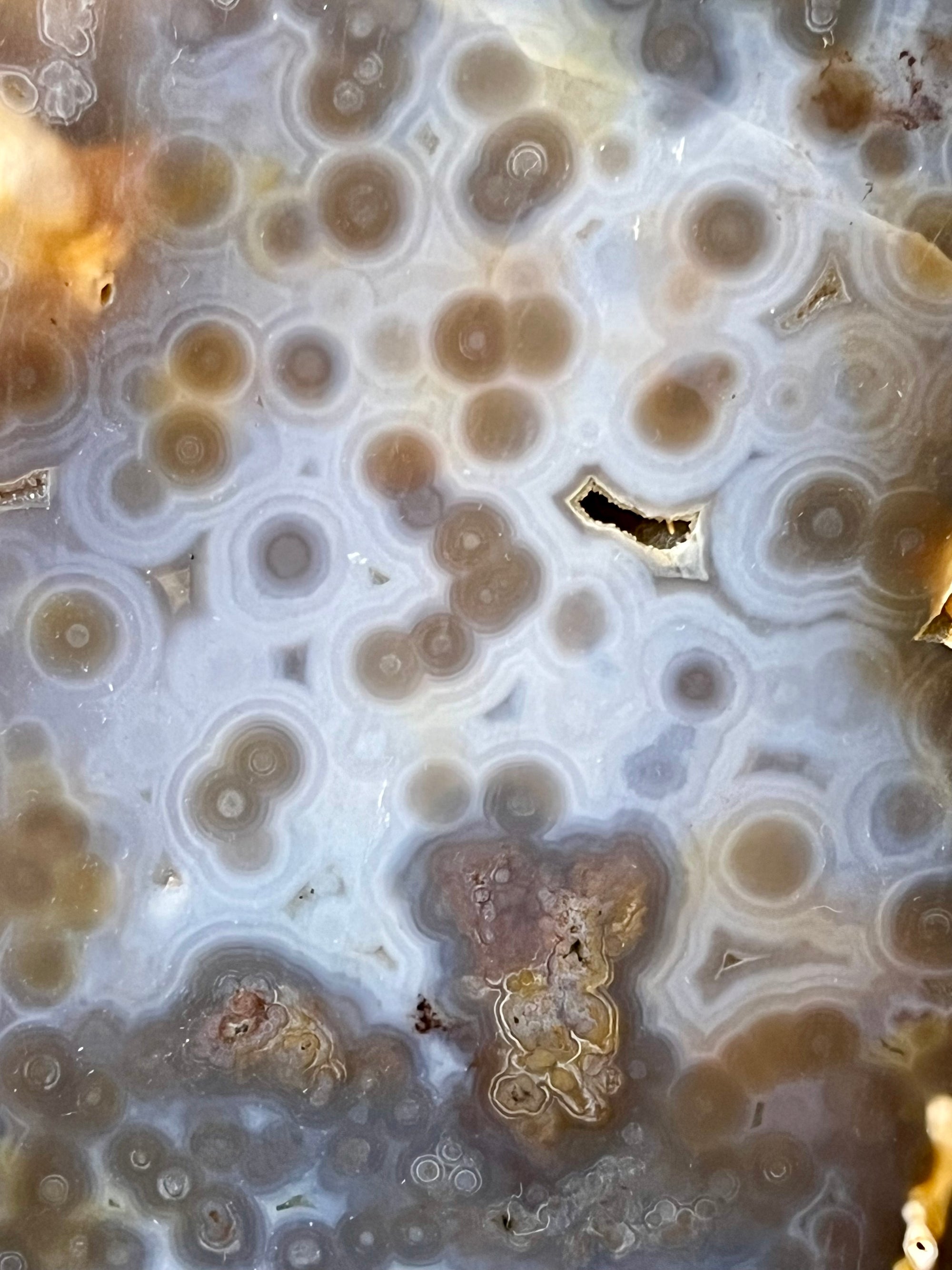 Huge 4.2 kg Orbicular Ocean Jasper Statement Piece