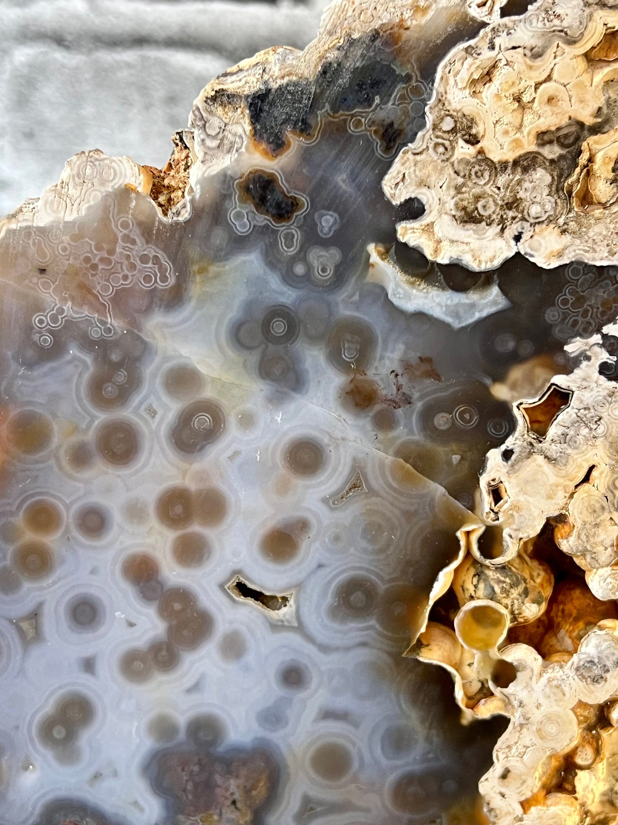 Huge 4.2 kg Orbicular Ocean Jasper Statement Piece