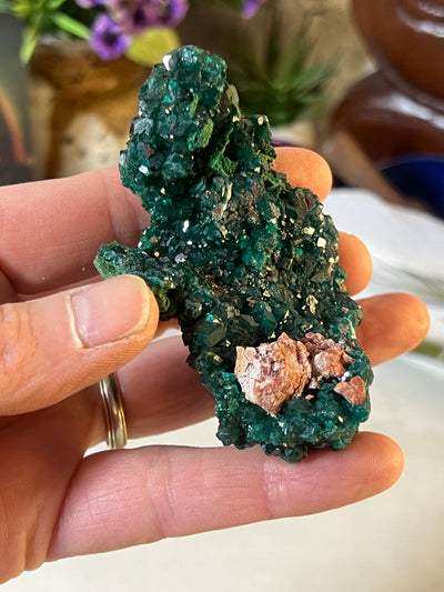 Dioptase Specimen from DR of Congo