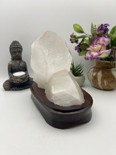 Gorgeous Brazilian Lemurian with Wood Base
