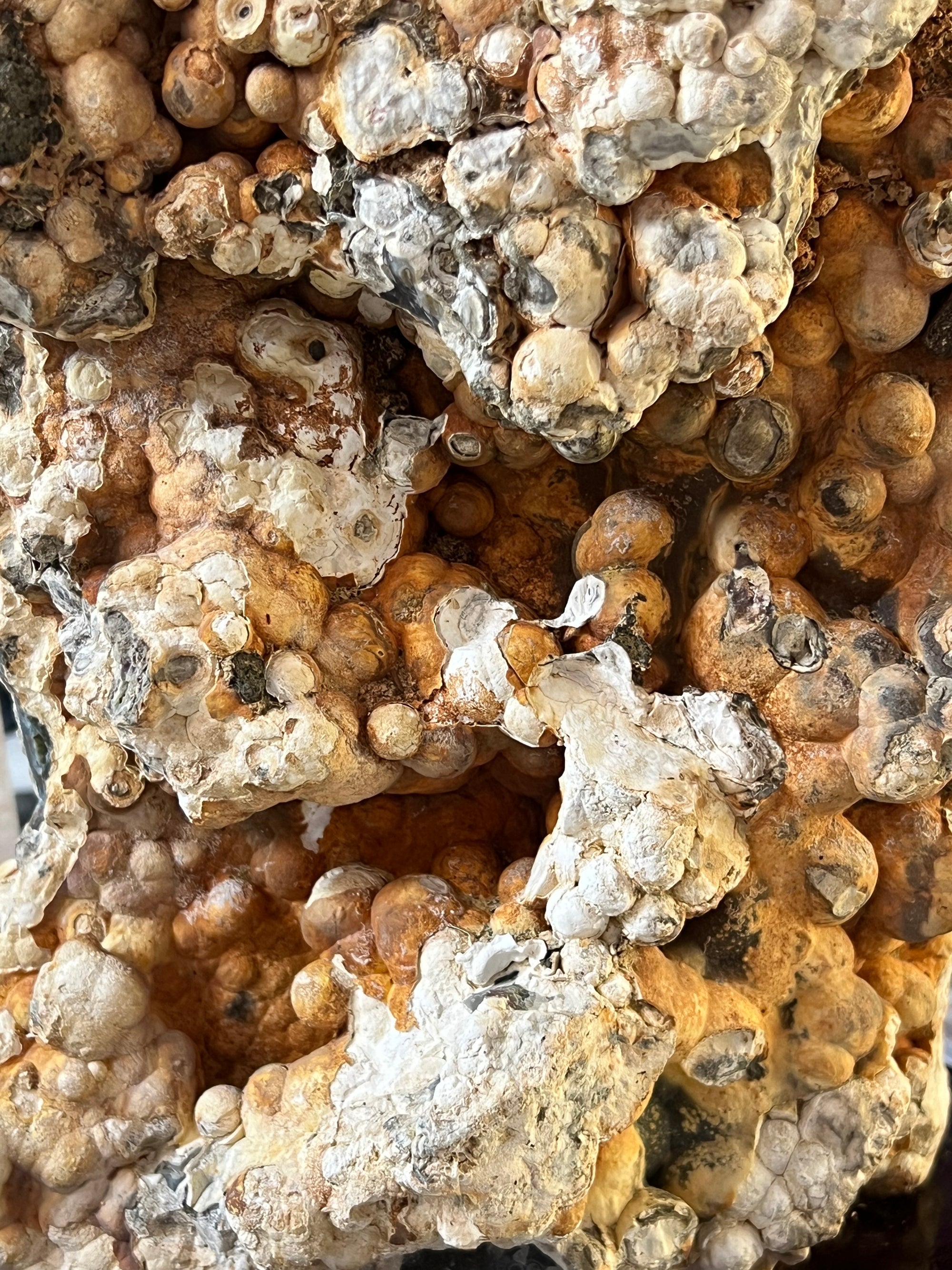 Huge 4.2 kg Orbicular Ocean Jasper Statement Piece