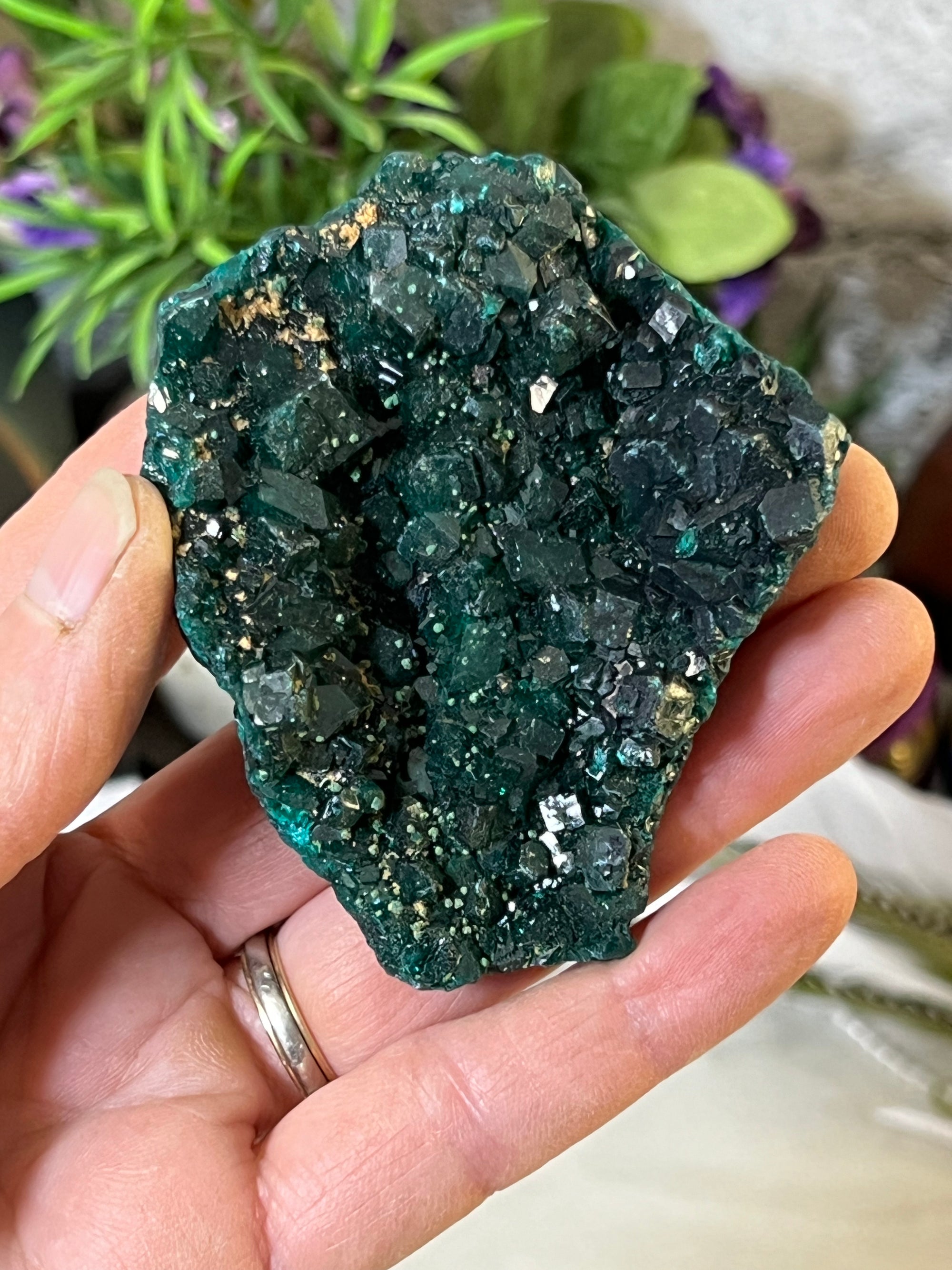 Dioptase Specimen with tons of cubes from Congo South Africa