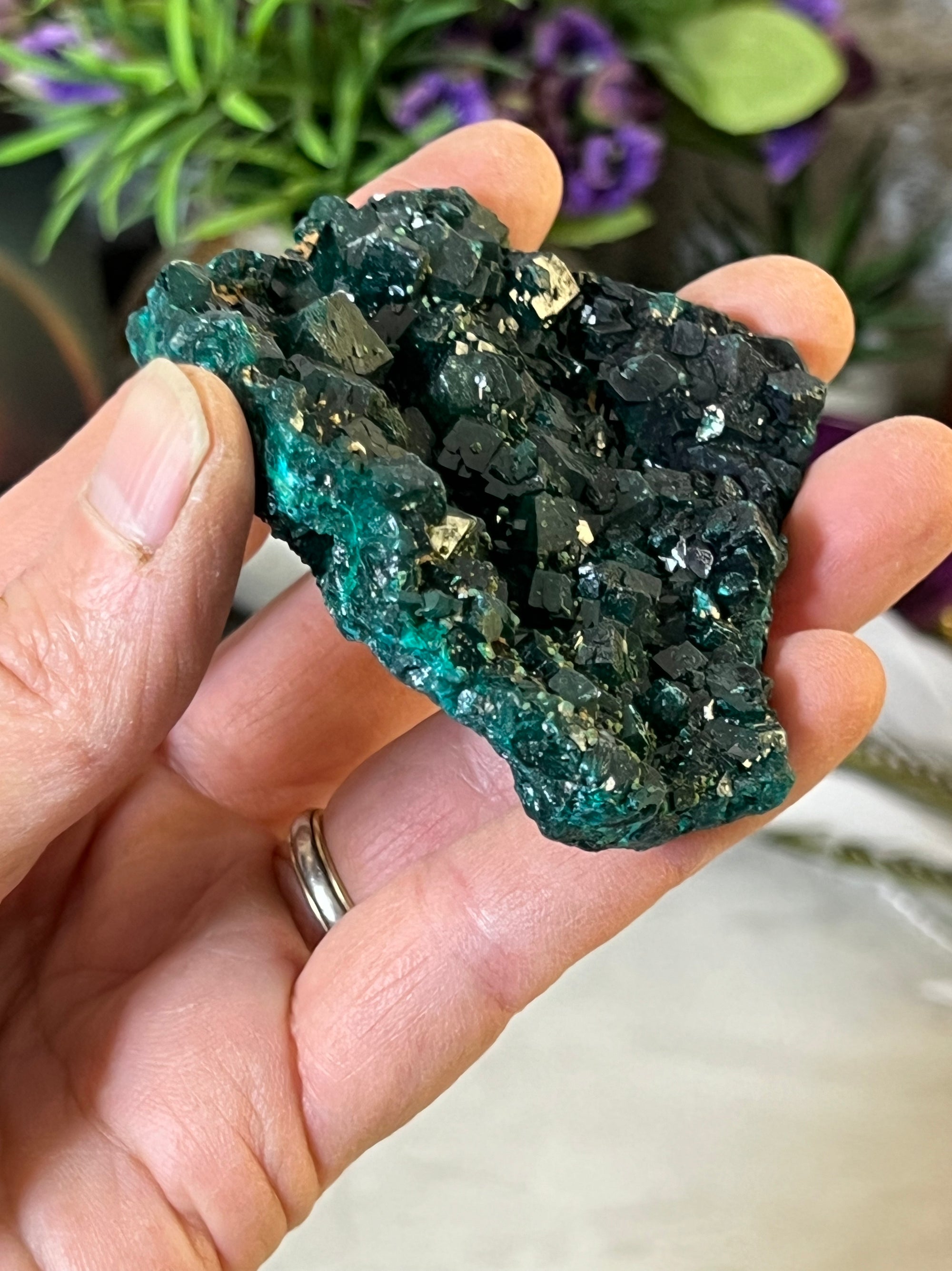Dioptase Specimen with tons of cubes from Congo South Africa