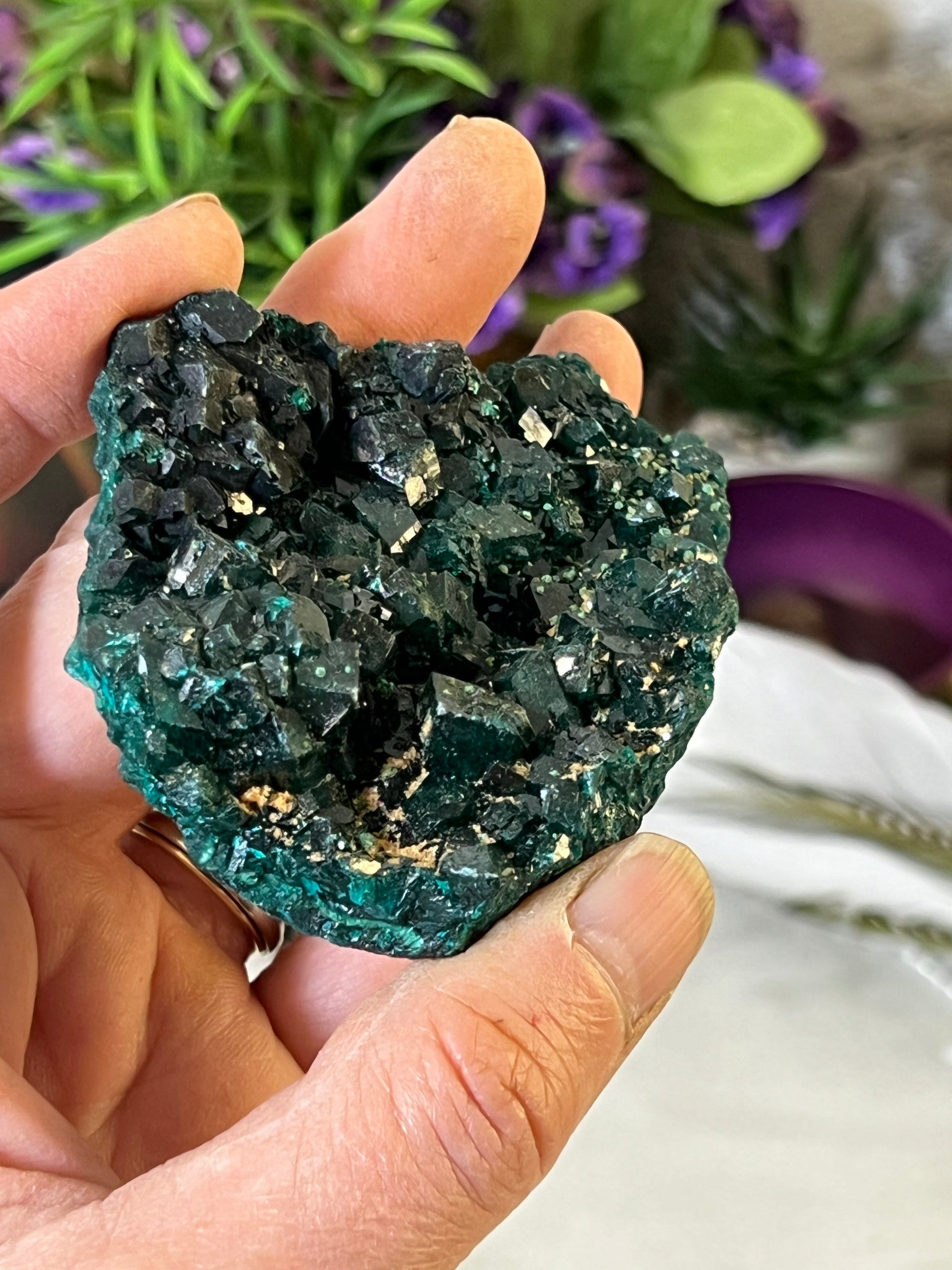 Dioptase Specimen with tons of cubes from Congo South Africa