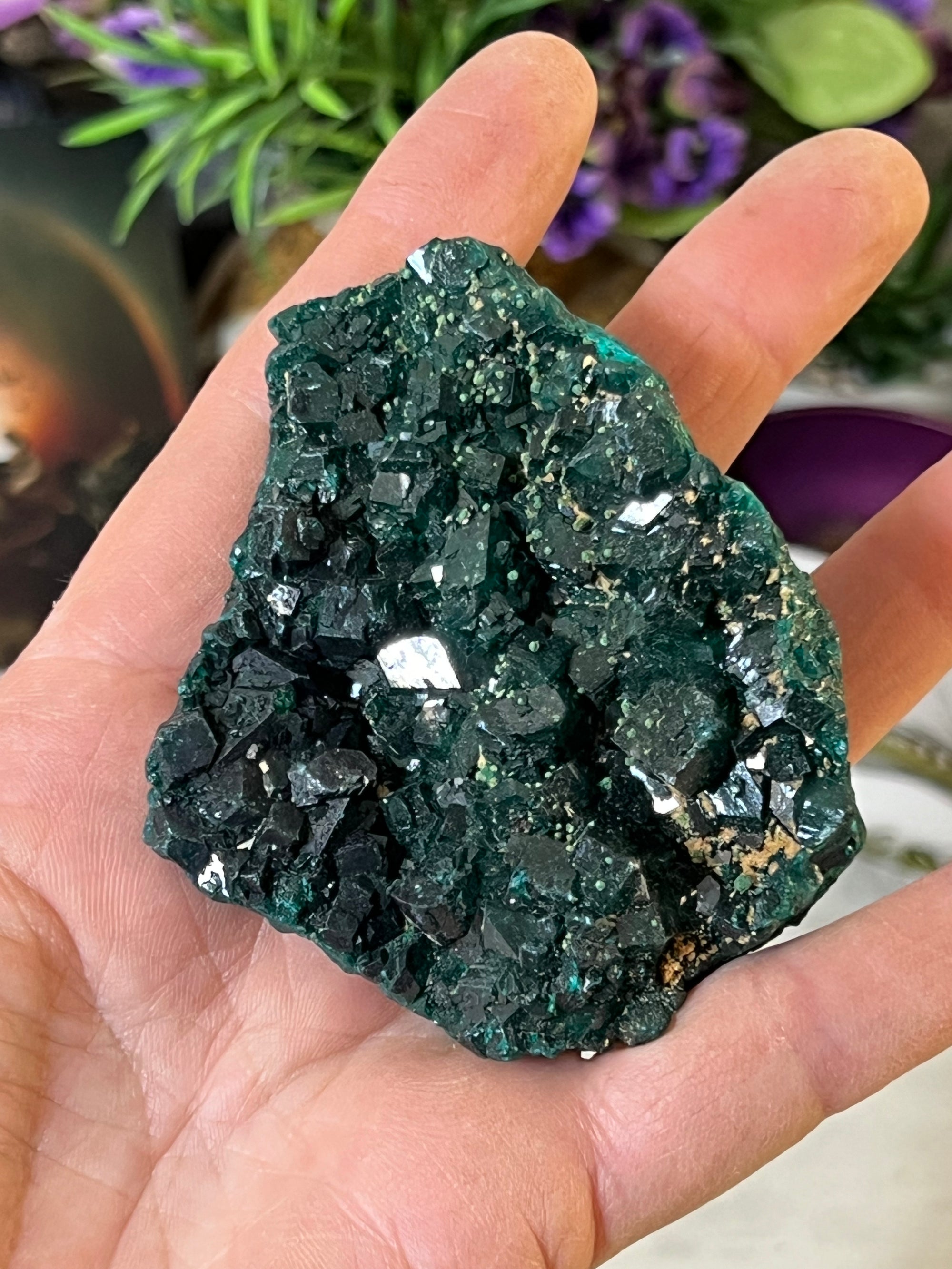 Dioptase Specimen with tons of cubes from Congo South Africa