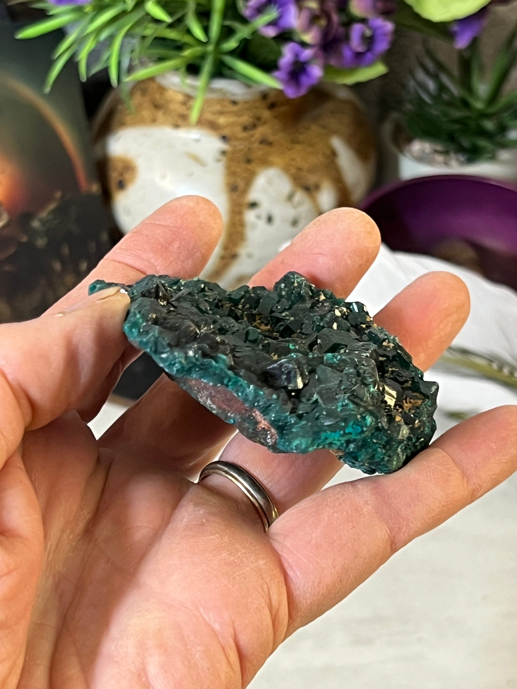 Dioptase Specimen with tons of cubes from Congo South Africa