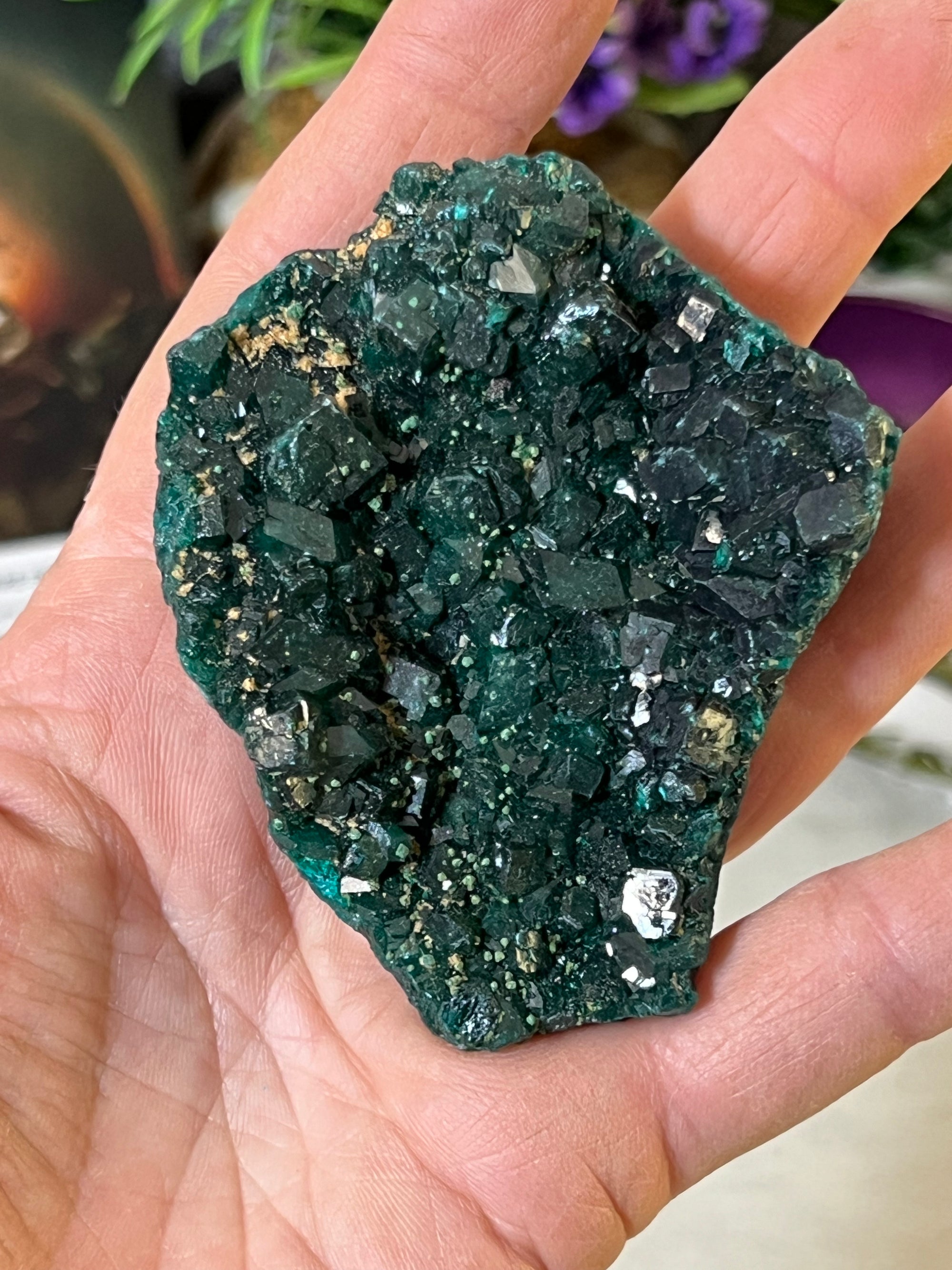 Dioptase Specimen with tons of cubes from Congo South Africa
