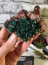 Beautiful Dioptase from DR Congo