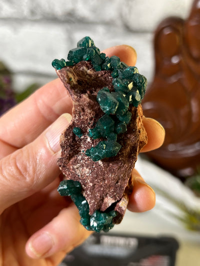 Beautiful Dioptase Specimen from DR Congo