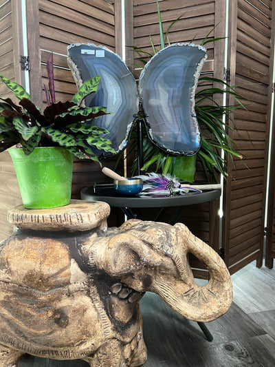 Huge Agate Butterfly Wings on stand from Brazil