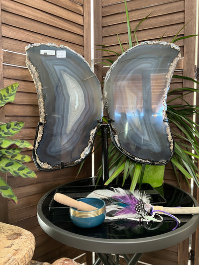 Huge Agate Butterfly Wings on stand from Brazil