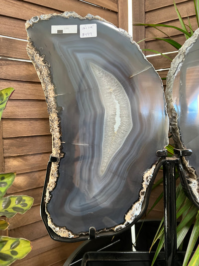 Huge Agate Butterfly Wings on stand from Brazil