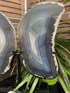 Huge Agate Butterfly Wings on stand from Brazil