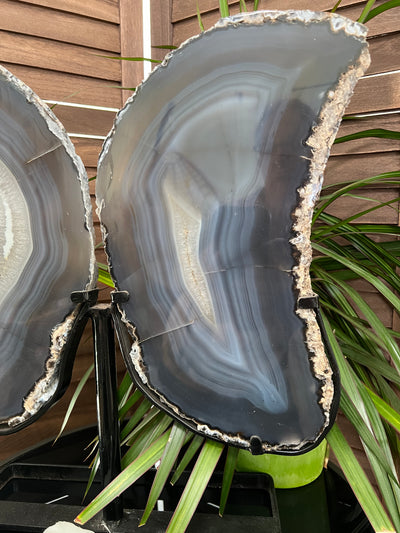 Huge Agate Butterfly Wings on stand from Brazil