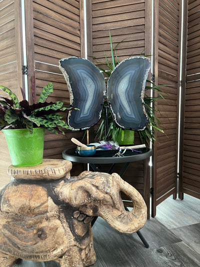 Huge Agate Butterfly Wings on stand from Brazil