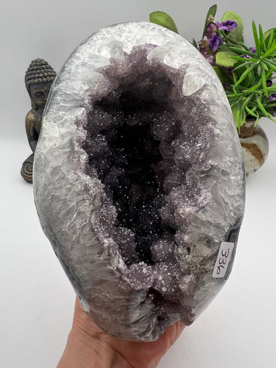 Sugar Druzy Amethyst Geode from Brazil