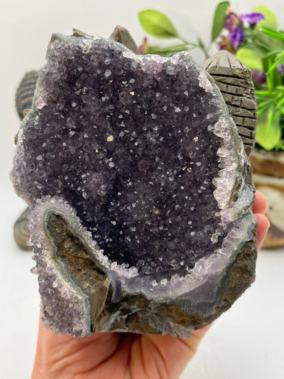 Amethyst Cluster Dragon Carving