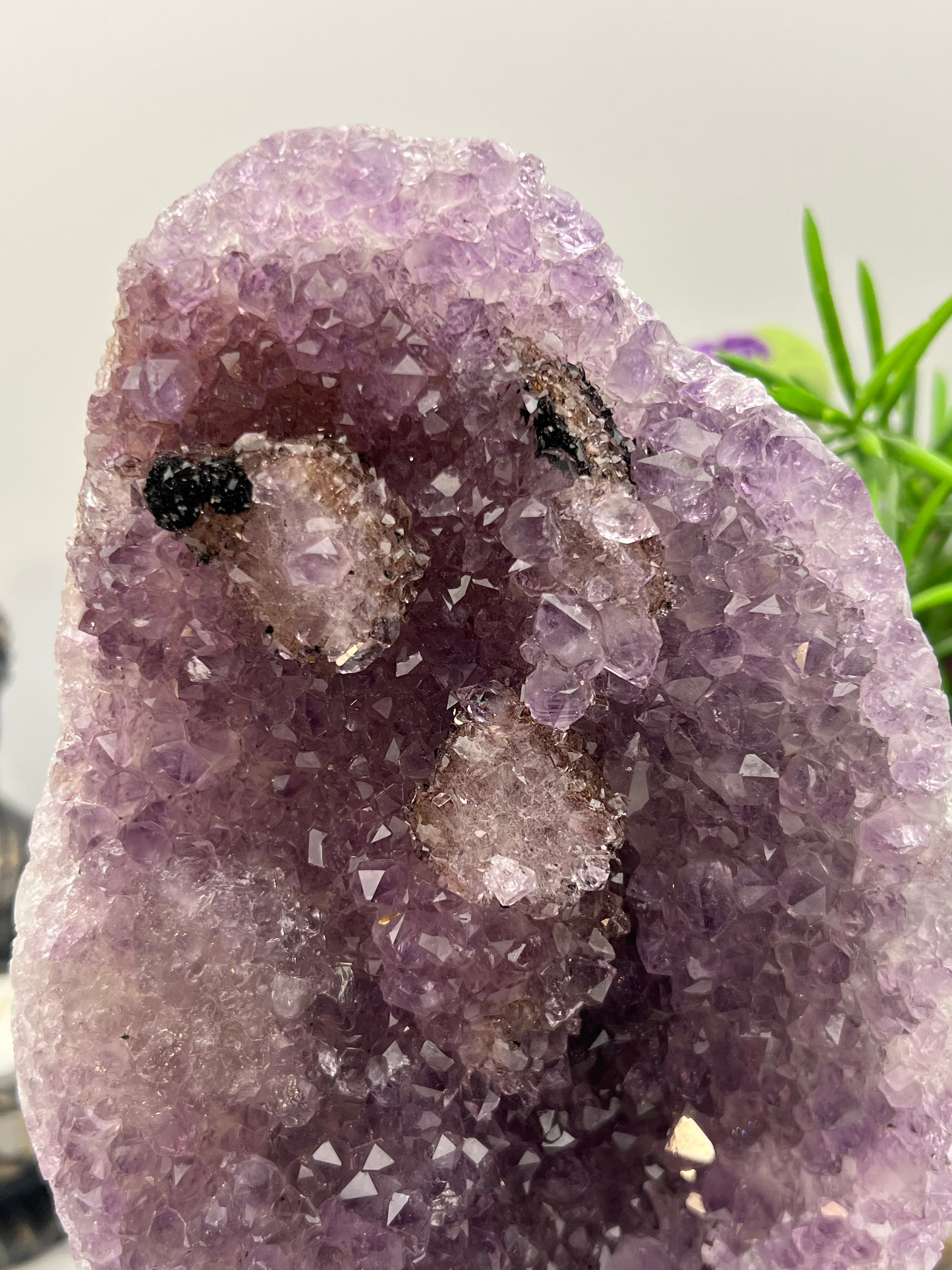Amethyst on black stand from Brazil