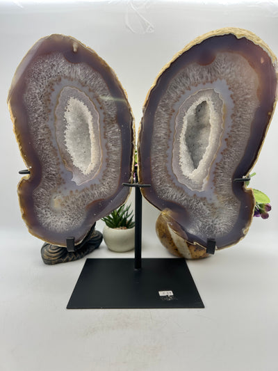 Gorgeous Agate Butterfly Wings Carving with stand