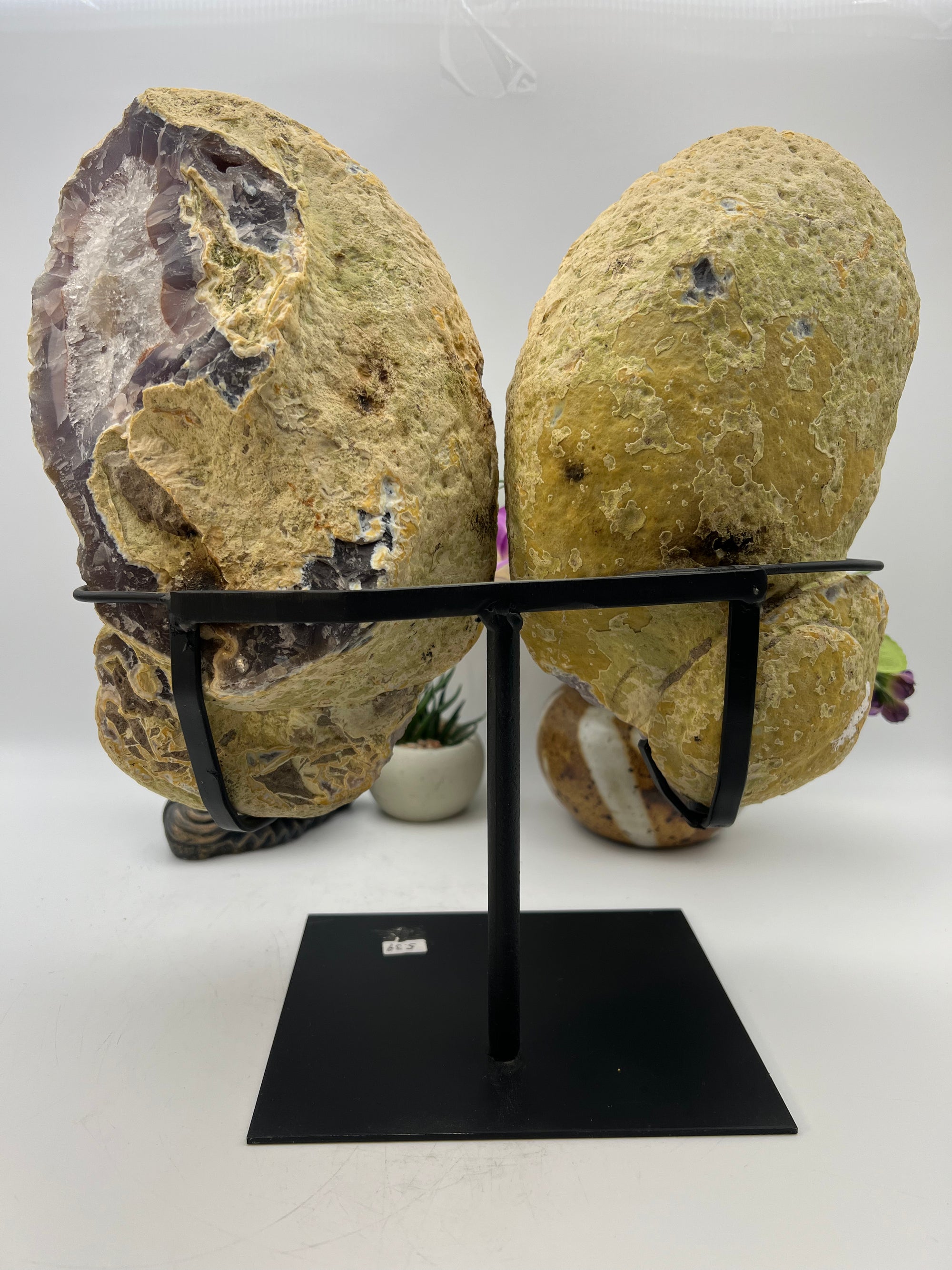 Gorgeous Agate Butterfly Wings Carving with stand