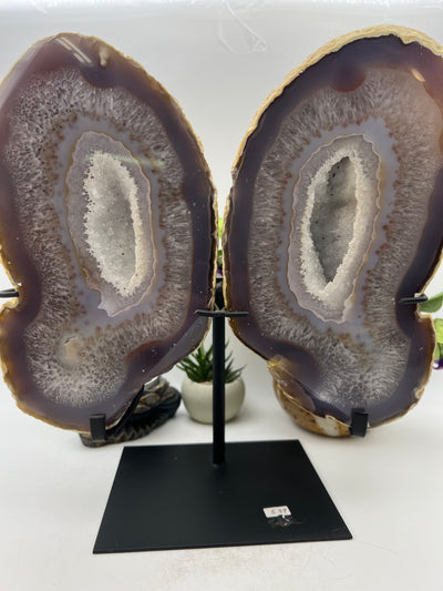 Gorgeous Agate Butterfly Wings Carving with stand