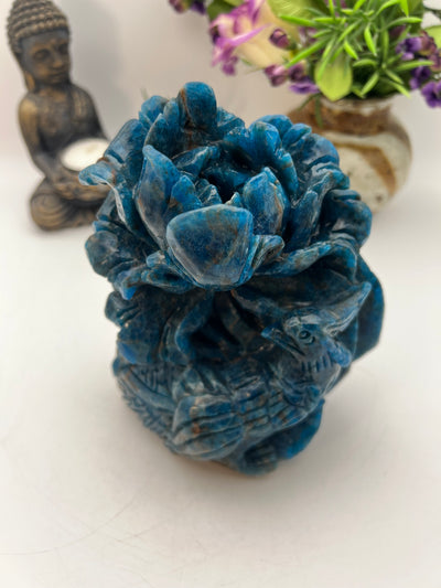 Stunning Blue Apatite Bird and Flower Carving